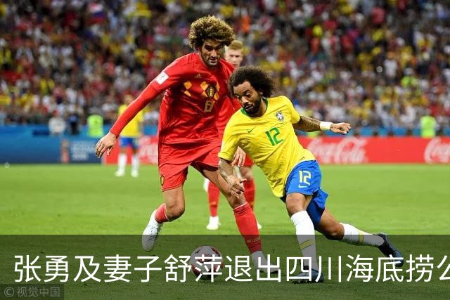 张勇及妻子舒萍退出四川海底捞公司董事会，控制权未变